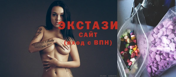 твердый Краснослободск