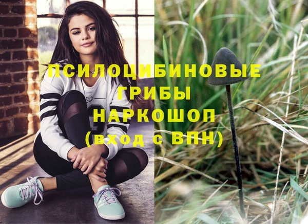 твердый Краснослободск