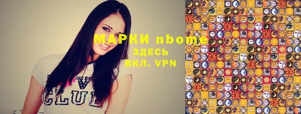 твердый Краснослободск