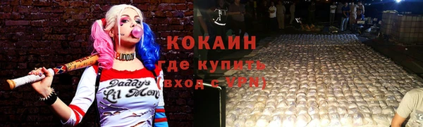 твердый Краснослободск