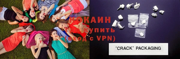 твердый Краснослободск