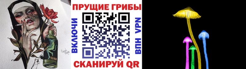 KRAKEN как зайти  Невельск  Псилоцибиновые грибы Psilocybe 